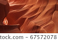 Antelope 67572078