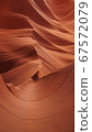 Antelope 67572079