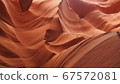 Antelope 67572081