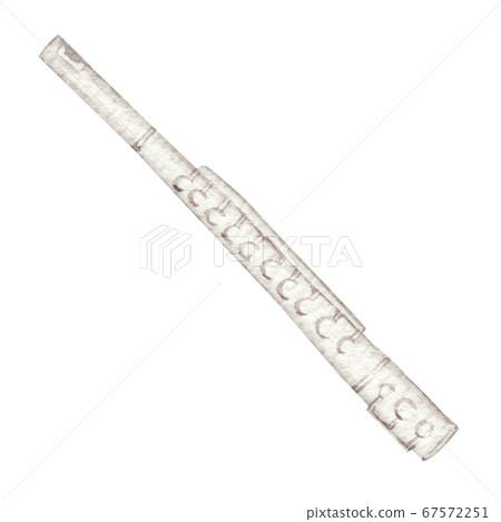 長笛樂器樂隊水彩插圖 67572251