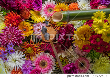 Tesuibachi秋季Bishamondo Shorinji 67572495