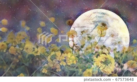 強姦開花 67573648