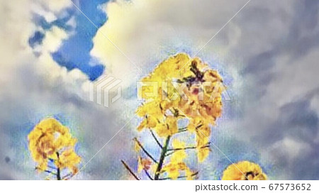 強姦開花 67573652