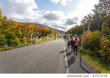 國道394號，青森縣秋季秋季 67573739