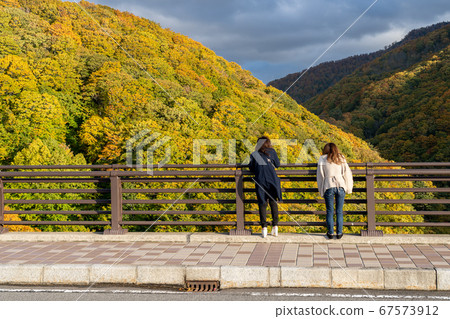 Jogakura Ohashi Aomori Prefecture tourists sightseeing on the bridge during the autumn foliage viewing period in October Jogakura Ohashi Aomori Prefecture tourists sightseeing on the bridge during the autumn foliage viewing period in October 67573912