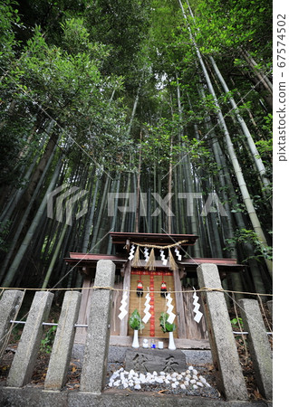奈良縣K原市Tenamido神社③ 67574502