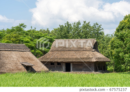 Hiratsuka Kawazoe Ruins_Asakura City, Fukuoka Prefecture 67575237