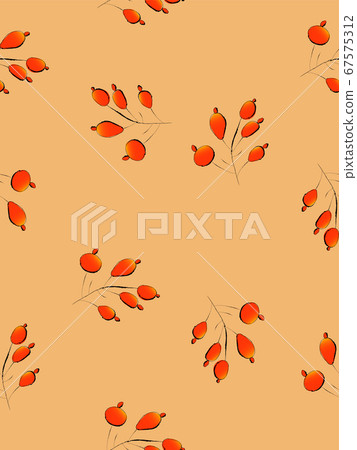 Berry seamless background, vector illustration Berry seamless background, vector illustration 67575312