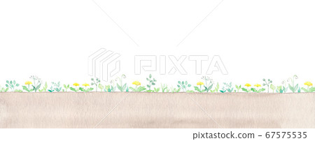 Green, yellow and white wildflowers, soil 67575535