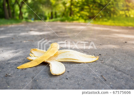 a banana peel lies on a footpath against the backdrop of a city Park a banana peel lies on a footpath against the backdrop of a city Park 67575606