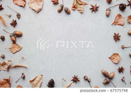 Frame made of dried leaves, acorns and pine cones 67575746