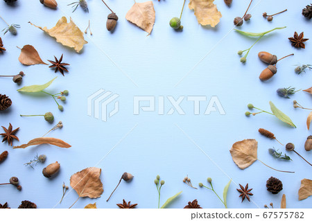Autumn floral greeting card of dried foliage Autumn floral greeting card of dried foliage 67575782