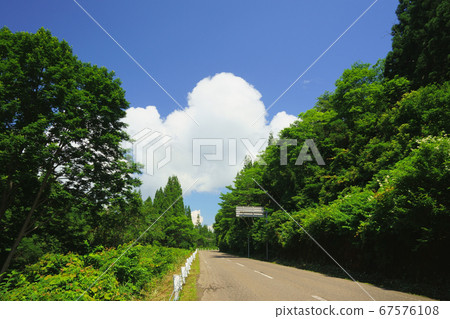 在一條鄉間小路的盡頭,兩邊都有樹木的夏日天空 在一條鄉間小路的盡頭,兩邊都有樹木的夏日天空 67576108