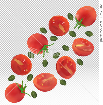Collection red of tomato with leaves on transparent background. Tomato flying are whole and cut in half. Useful ripe fresh tomato. Natural product. Realistic vector illustration Collection red of tomato with leaves on transparent background. Tomato flying are whole and cut in half. Useful ripe fresh tomato. Natural product. Realistic vector illustration 67576465
