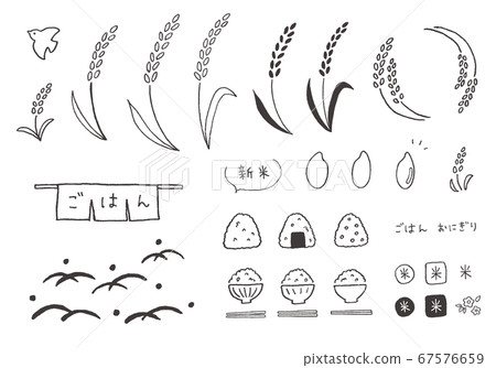 Hand-drawn illustration of rice, rice, rice (monochrome) 67576659