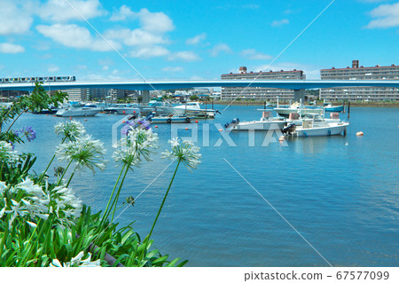Deep blue sky and port where fishing boats are anchored Deep blue sky and port where fishing boats are anchored 67577099