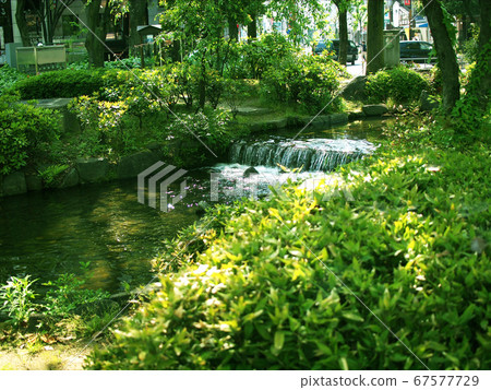 公園河 67577729