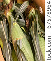Corn with skin 67578964