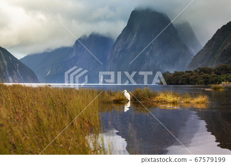 Milford sound 67579199
