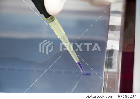 Polymerase Chain Reaction (PCR) and Agarose gel electrophoresis is a method of gel electrophoresis used in biochemistry, molecular biology, genetics, and clinical chemistry in lab. 67580234