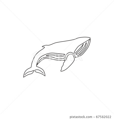 Whale Line Drawing / Get the how to draw a whale (cartoon like) step by