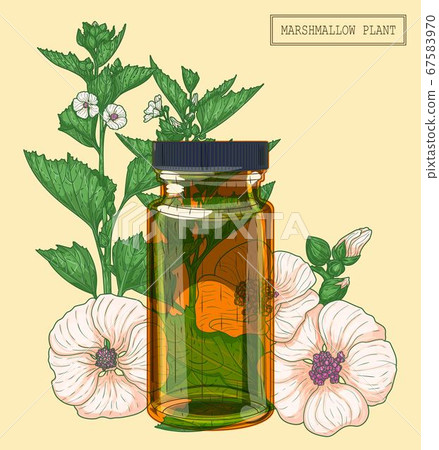Blooming marshmallow and brown glass vial Blooming marshmallow and brown glass vial 67583970