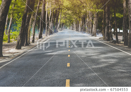 Road with trees side in summer season. Road with trees side in summer season. 67584553