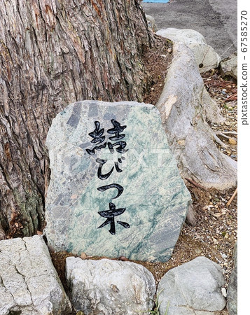 [石川縣]白山Hibo神社表參道表參屋/符號樹/小杉 67585270