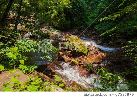 Summer of Shinshu Oku Tateshina, the cool Yokoya Gorge (Yokoya Gorge) 67585979