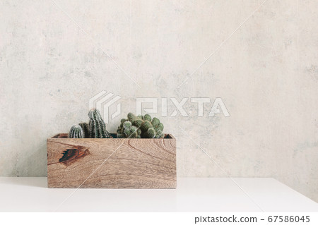 Set of green succulents and cactus in wooden pot on a white table. Trendy potted plants in interior. Grunge wall background. Empty copy space for text. Interior lifestyle web banner. Set of green succulents and cactus in wooden pot on a white table. Trendy potted plants in interior. Grunge wall background. Empty copy space for text. Interior lifestyle web banner. 67586045