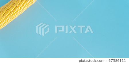 vegetables and fruits, agriculture, gastronomy, harvest concept - flat lay extra large banner of fresh singl yellow head of corn in corner of frame on monochrome blue background top view copy space vegetables and fruits, agriculture, gastronomy, harvest concept - flat lay extra large banner of fresh singl yellow head of corn in corner of frame on monochrome blue background top view copy space 67586111
