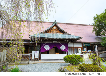 Scenery of Sakuramotobo/Sakuramotobo (Yoshinoyama, Yoshino-cho, Yoshino-gun, Nara) April 2020 67587039