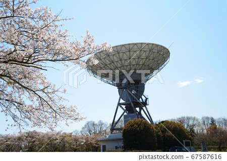 I went to Sakura Space Park #31 I went to Sakura Space Park #31 67587616