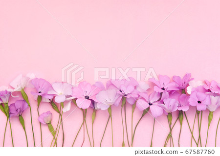 flower, bloom, blossom 67587760