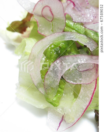 陽光生菜和紫洋蔥沙拉 67589032