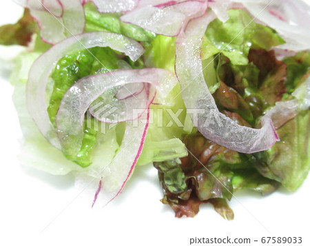 Sunny lettuce and purple onion salad 67589033