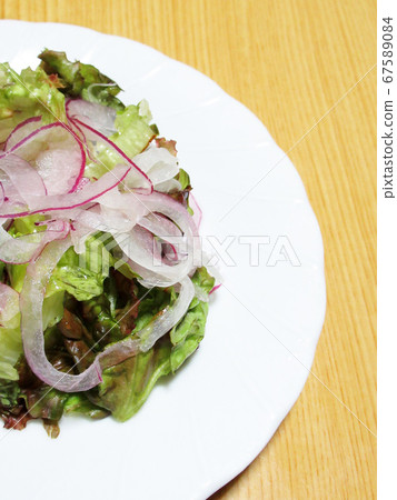 陽光生菜和紫洋蔥沙拉 67589084