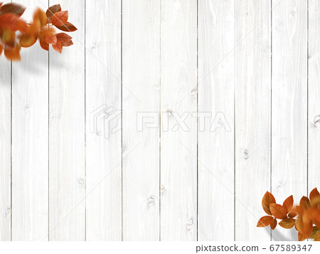 White wooden wall and autumn leaves White wooden wall and autumn leaves 67589347