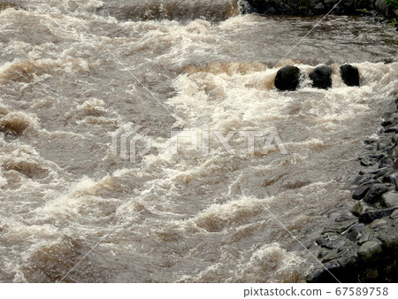 Torrent of Hayakawa at Hakone Yumoto After a heavy rain of 850 mm in 10 days Torrent of Hayakawa at Hakone Yumoto After a heavy rain of 850 mm in 10 days 67589758