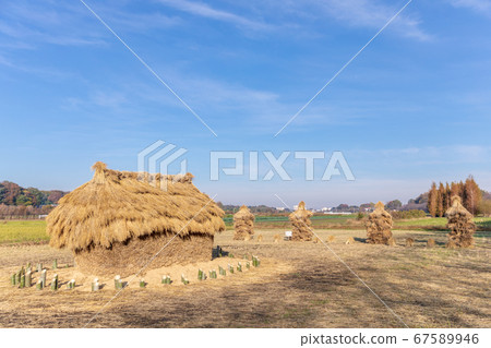 Minuma rice paddies autumn mound "Funano" 67589946