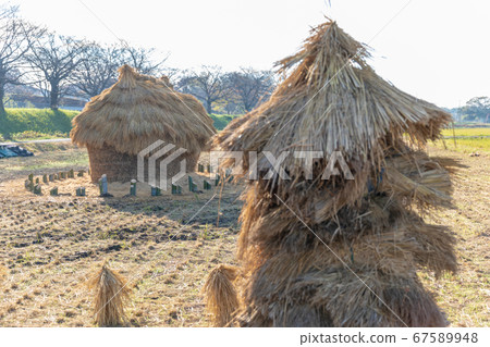 Minuma rice paddies autumn mound "Funano" 67589948