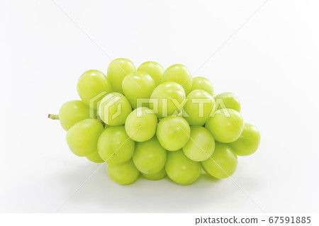 閃亮馬斯喀特馬斯喀特葡萄 67591885