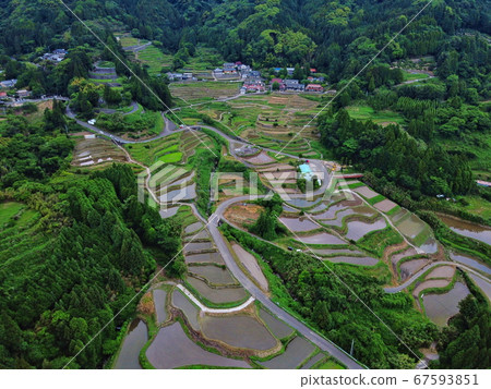 Eri山的水稻梯田 Eri山的水稻梯田 67593851