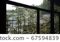 Plants seen through the glass window of a Japanese house 67594839