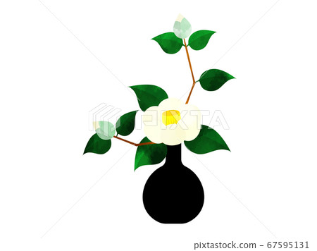 White camellia flowers arranged in a vase, watercolor style White camellia flowers arranged in a vase, watercolor style 67595131