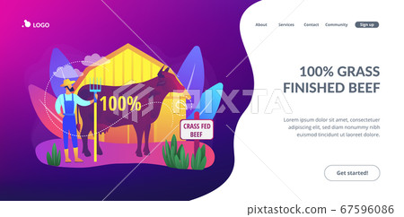 Grass fed beef concept landing page. Grass fed beef concept landing page. 67596086