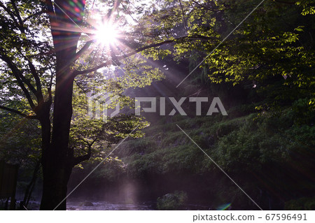 山梨縣鶴市芋頭/次郎瀑布 67596491