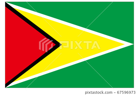 New World Flag 2:3 Ver Guyana New World Flag 2:3 Ver Guyana 67596973
