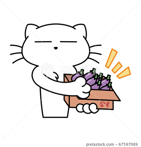 Cat _ eggplant 67597089