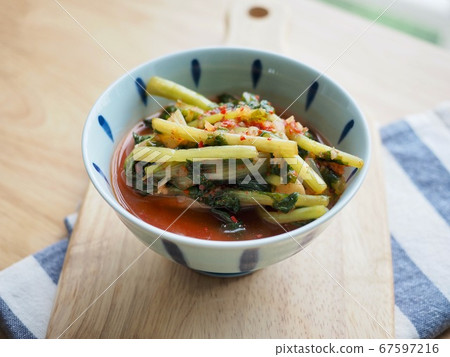 韓國傳統食品Yeolmu泡菜 韓國傳統食品Yeolmu泡菜 67597216